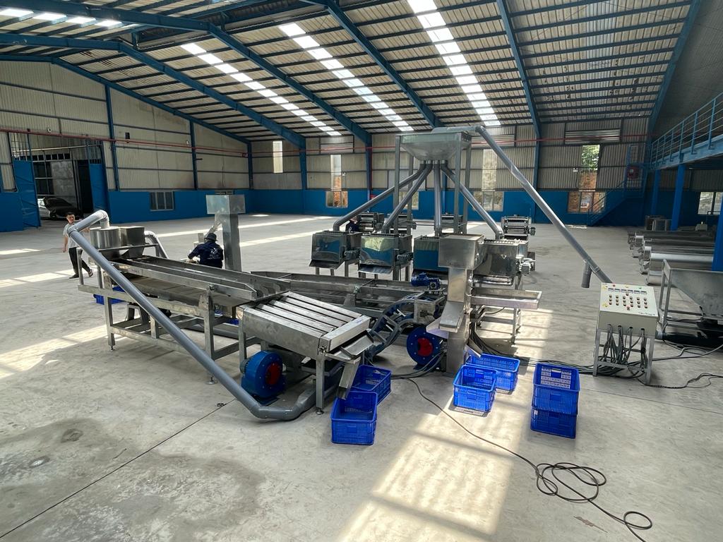 Fully Automatic Cashew Processing Plant
