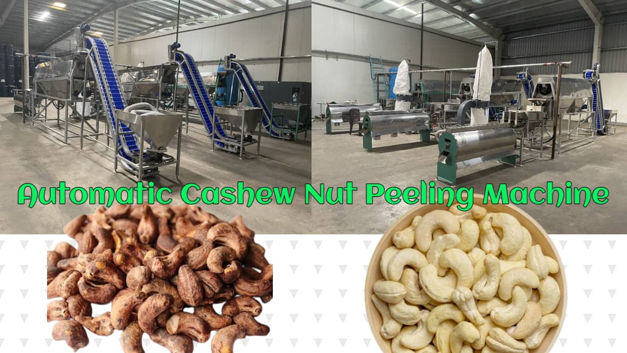 The Cashew Peeling Process