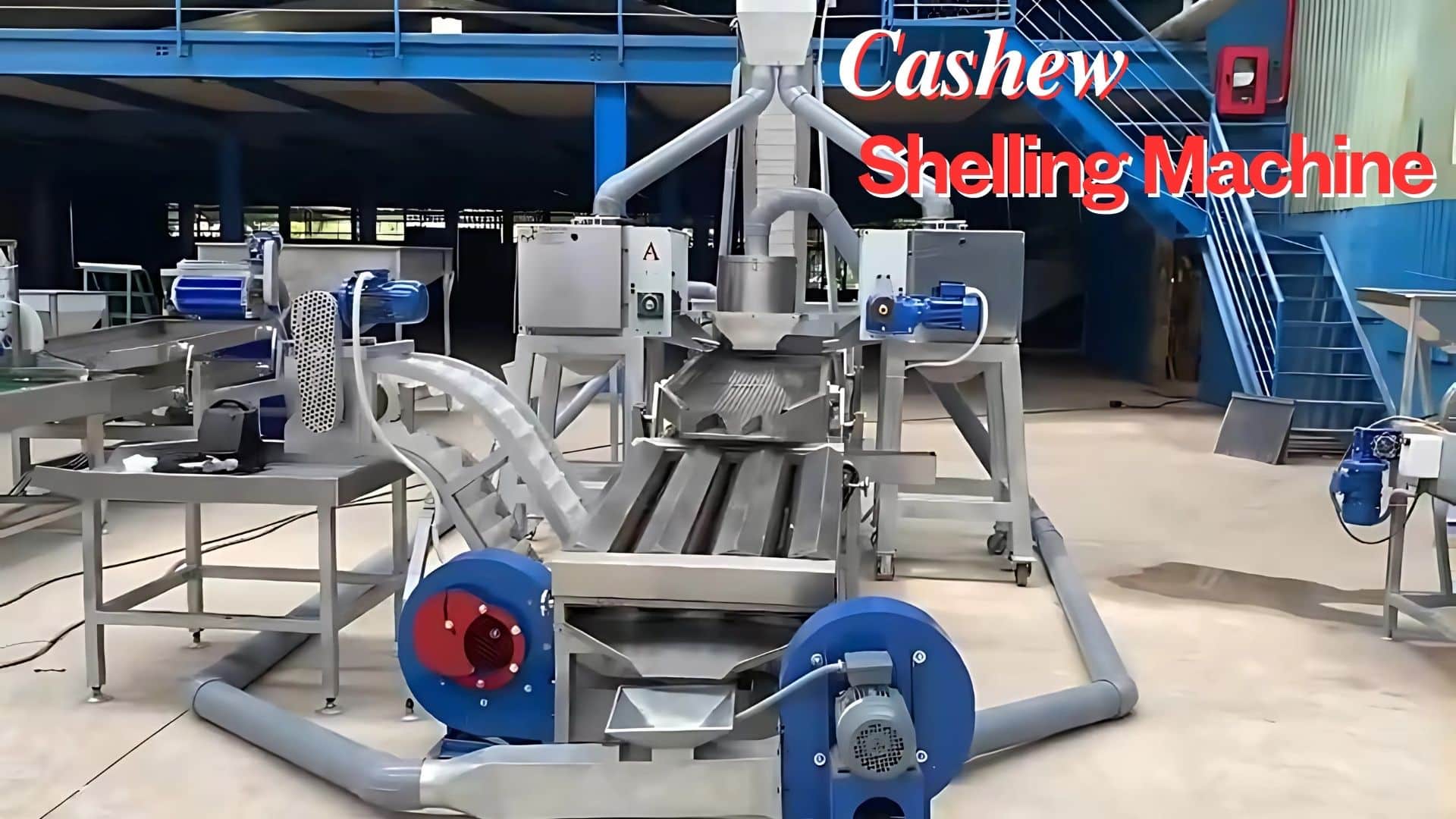 Cashew Shelling Machine Demonstration