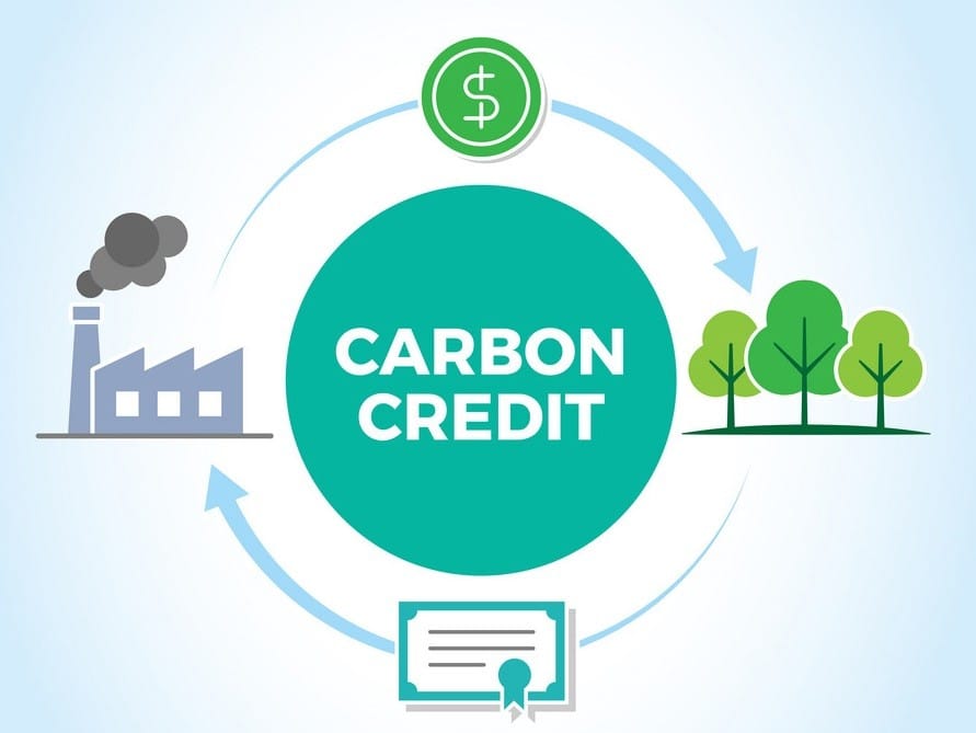 Carbon Credits in the Cashew Industry