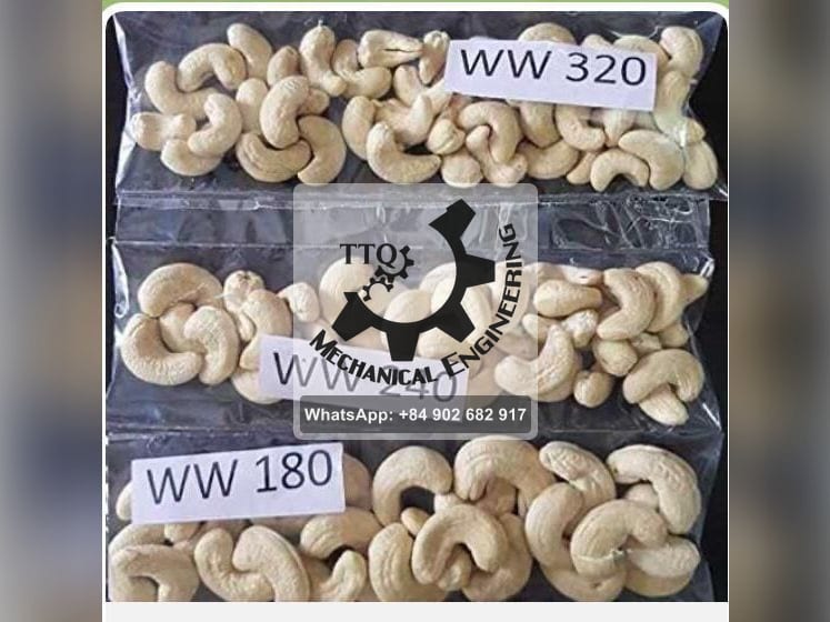 Three labelled bags of white whole cashew kernels — WW180, WW240 and WW320 — showing the size difference