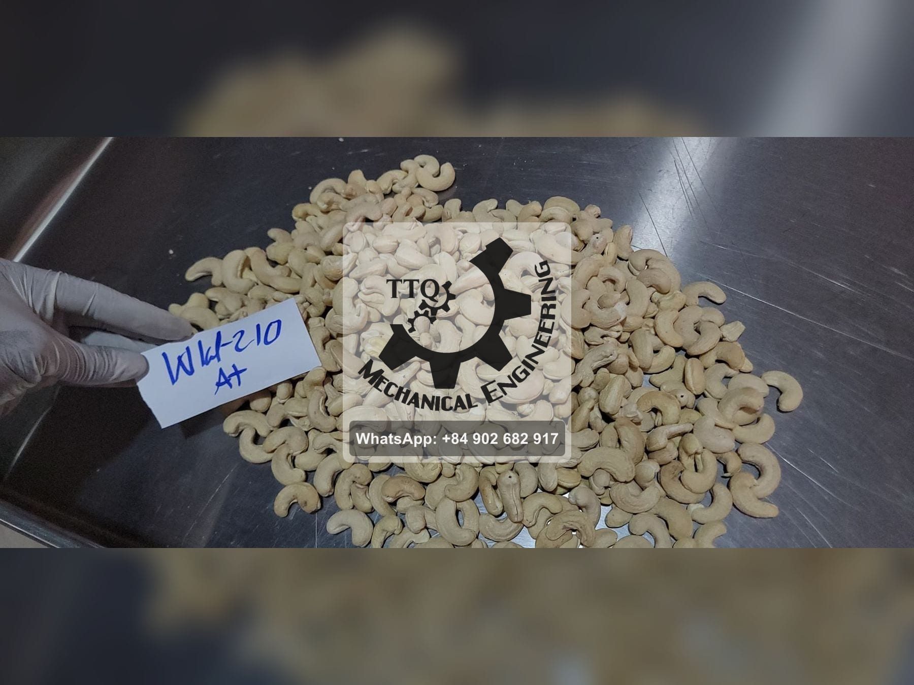 A carded sample of WW210 white whole cashew kernels