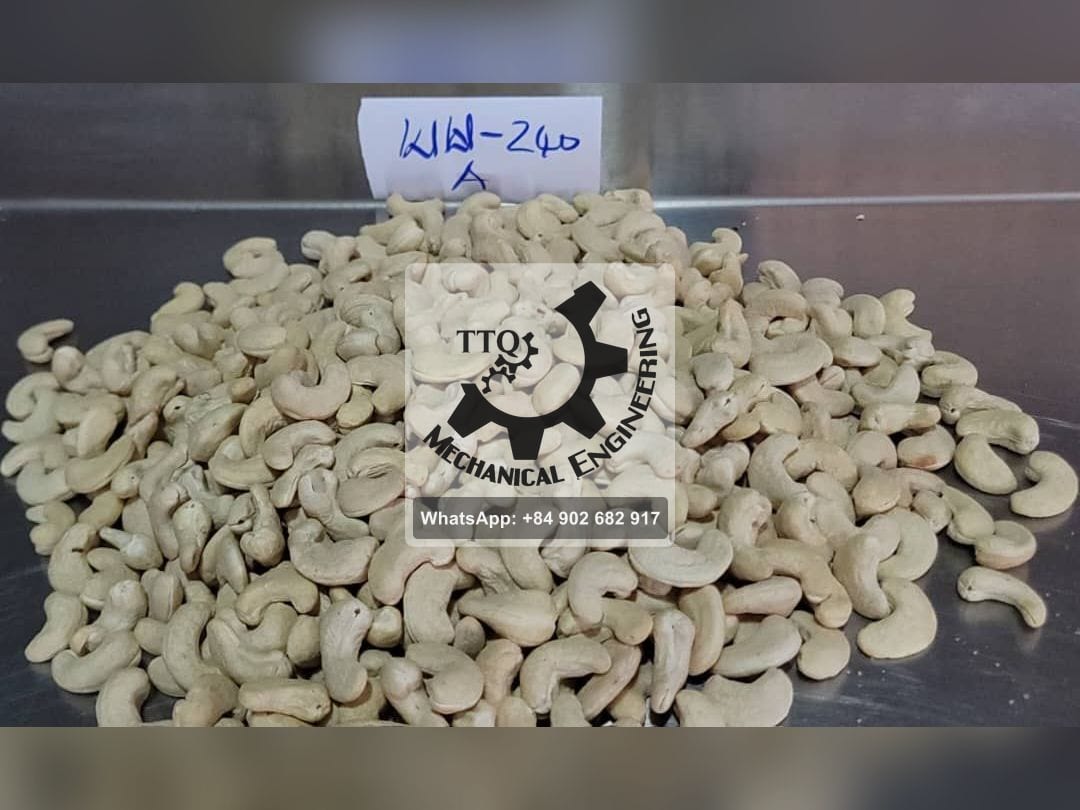 A carded sample of WW240 white whole cashew kernels