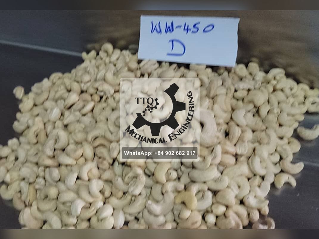 A carded sample of WW450 white whole cashew kernels