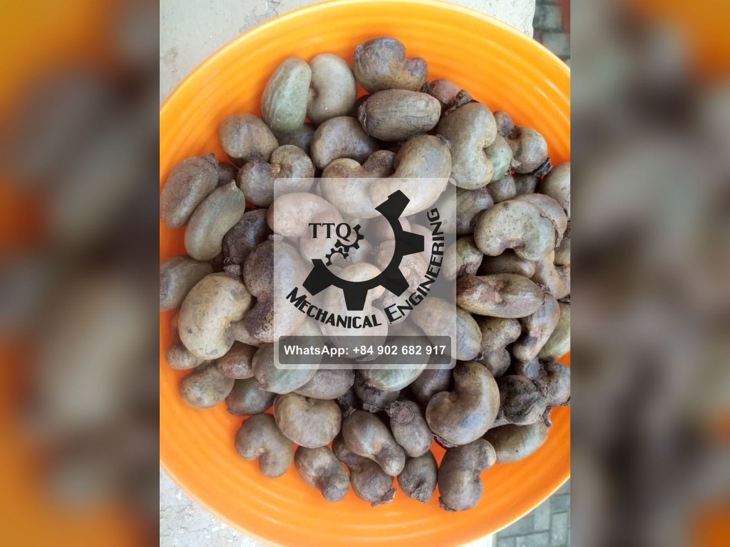 A bowl of raw in-shell cashew nuts, grey-brown and unsorted