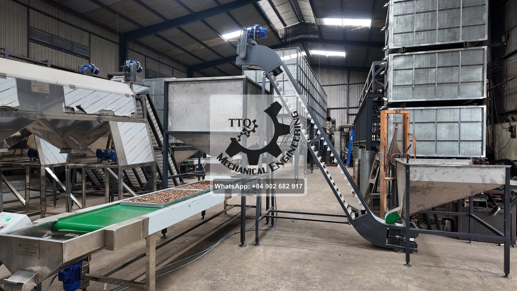 A tray filling station — belt conveyor with trays, feed hopper and cleated elevator, dryer trolleys stacked behind